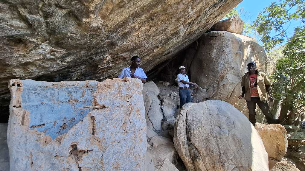 Cultural Tours